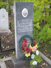 Винокур Михаил Моисеевич, Ульяновск, Северное (Ишеевское) кладбище