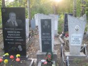 Шегаль Аркадий Давыдович, Ульяновск, Северное (Ишеевское) кладбище