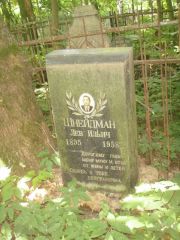 Шнейдман Лев Ильич, Владимир, Князь-Владимирское (городское) кладбище
