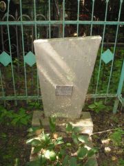 Фиго Иосиф Мордкович, Владимир, Князь-Владимирское (городское) кладбище