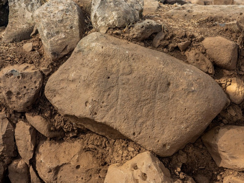 Голаны. Резные фигуры на камне в районе Хиспина. Фото: Янив Берман, Управление древностей Израиля