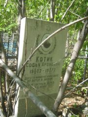 Котик Софья Ароновна, Челябинск, Цинковое кладбище (Жестянка)
