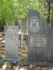 Лейвиков Игорь Гершевич, Челябинск, Цинковое кладбище (Жестянка)