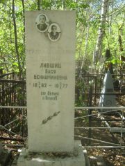 Лившиц Лейзер Схарьевич, Челябинск, Цинковое кладбище (Жестянка)