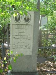 Лесина Бася Мееровна, Челябинск, Цинковое кладбище (Жестянка)