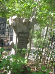 Шейкина Софья Рафаиловна, Челябинск, Цинковое кладбище (Жестянка)