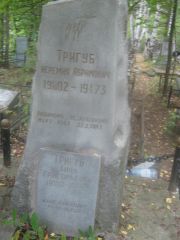Тригуб Иеремия Абрамович, Екатеринбург, Северное кладбище