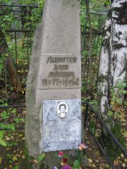 Левинтова Софья Ефимовна, Екатеринбург, Северное кладбище