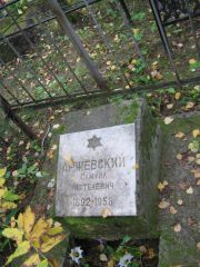 Аржевсский Самуил Мотелевич, Екатеринбург, Северное кладбище
