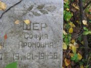 Шер София Ароновна, Екатеринбург, Северное кладбище