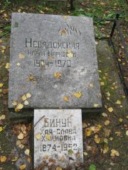 Невядомская Мария Марковна, Екатеринбург, Северное кладбище