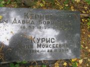 Курис Фаня Моисеевна, Екатеринбург, Северное кладбище