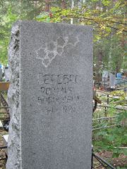 Серебро Розалия Борисовна, Екатеринбург, Северное кладбище