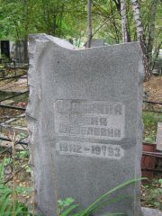 Драбкина Феня Шевлевна, Екатеринбург, Северное кладбище