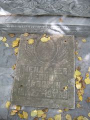Менделеев Леонид Львович, Екатеринбург, Северное кладбище