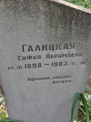 Галицкая Софья Абрамовна, Калуга, Еврейское кладбище
