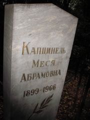Капцинель Меся Абрамовна, Казань, Арское кладбище