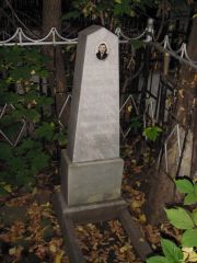 Нихензон Семенович Евшиевич, Казань, Арское кладбище