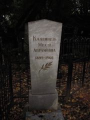 Капцинель Меся Абрамовна, Казань, Арское кладбище