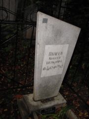 Палеев Моисей Беркович, Казань, Арское кладбище