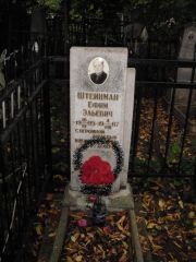 Штейман Ефим Эльевич, Казань, Арское кладбище