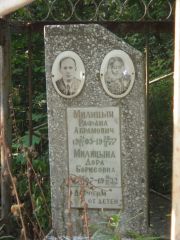 Мильцина Дора Борисовна, Казань, Арское кладбище