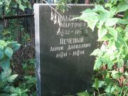 Печеный Абрам Давидович, Казань, Арское кладбище