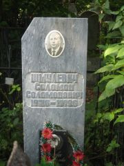Шмулевич Соломон Соломонович, Казань, Арское кладбище