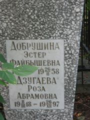 Добрушина Эстер Файбышевна, Казань, Арское кладбище