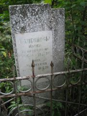 Самсонова Анна Андреевна, Казань, Арское кладбище
