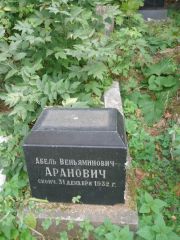 Аранович Абель Веньяминович, Казань, Арское кладбище