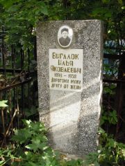 Вигалок Илья Яковлевич, Казань, Арское кладбище