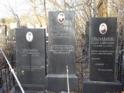 Школьник Ося Давыдович, Киев, Байковое кладбище