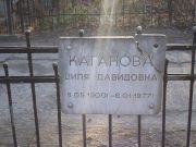 Каганова Циля Давидовна, Киев, Байковое кладбище