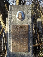 Резник Хая-Идес Нисоновна, Киев, Байковое кладбище