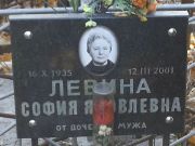 Левина Софья Яковлевна, Киев, Байковое кладбище