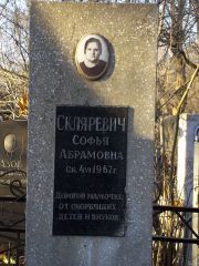 Скляревич Софья Абрамовна, Киев, Байковое кладбище
