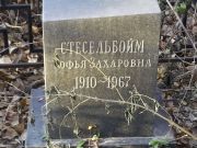 Стесельбойм Софья Захаровна, Киев, Байковое кладбище