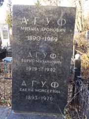 Агуф Михаил Аронович, Киев, Байковое кладбище