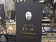 Билан Юрий Яковлевич, Киев, Байковое кладбище
