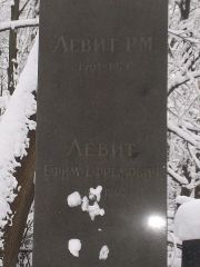 Левит Ефим Ефремович, Киев, Байковое кладбище