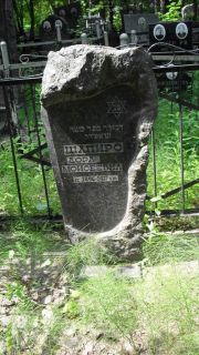 Шапиро Дора Моисеевна, Москва, Малаховское кладбище
