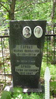 Бриль Ефим Натанович, Москва, Малаховское кладбище