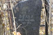 Волох Яков Эльевич, Москва, Малаховское кладбище