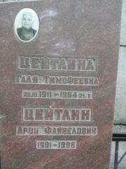 Цейтлин Арон Файвелович, Москва, Малаховское кладбище