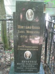 Шпигельман-Кнопова Ханна Менделевна, Москва, Малаховское кладбище