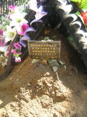 Опанасенко Елизавета Фишелевна, Москва, Малаховское кладбище
