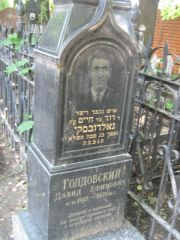Голдовский Давид Ефимович, Москва, Малаховское кладбище
