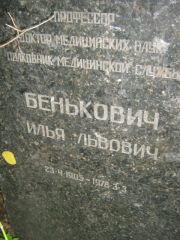 Бенькович Илья Львович, Москва, Малаховское кладбище
