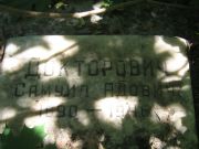 Докторович Самуил Абович, Москва, Малаховское кладбище